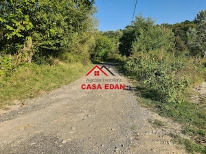 Teren intravilan in Cornu (Ph)--1490 mp--29e - imagine 5