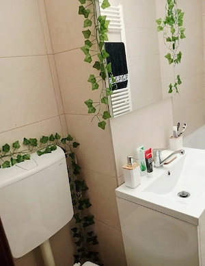 Inchiriez apartament 2 camere  - imagine 4