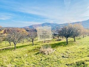 Teren intravilan 1000mp | Sibiel | Panorama superba | Ideal casa | pensiune
