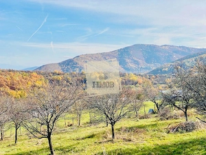 Teren intravilan 1000mp | Sibiel | Panorama superba | Ideal casa | pensiune - imagine 2