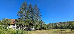 Casă de vânzare cu teren de 2300 mp - poalele dealului, lângă The Village - imagine 5