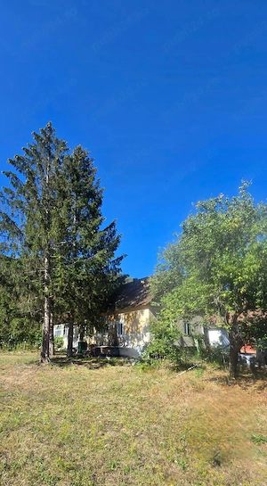 Casă de vânzare cu teren de 2300 mp - poalele dealului, lângă The Village - imagine 6