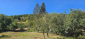 Casă de vânzare cu teren de 2300 mp - poalele dealului, lângă The Village - imagine 8