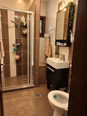 Branesti - casa de vanzare in centru - teren 700 mp - imagine 11