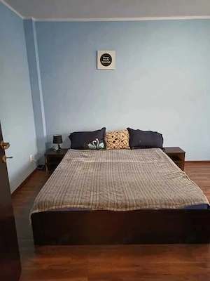 Proprietar, ofer spre inchiriere apartament cu 2 camere cu centrala proprie - imagine 4