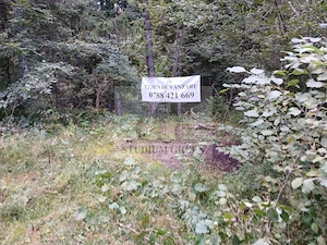 Vand 7000 mp teren intravilan in Predeal- Cioplea- turism - imagine 9