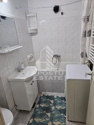 Apartament 1 camera de inchiriat,Centrala proprie, Take Ion, Timisoara - imagine 8