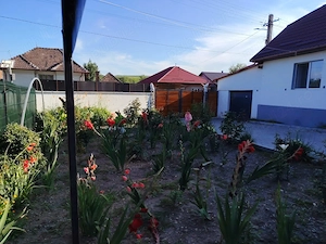 Casă individuală + teren 1.560 mp, Aschileu Mic, nr. 65, jud. Cluj - imagine 2