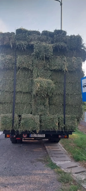 Vând baloți de lucernă verde și măruntă 