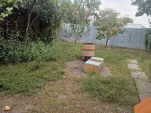 Casa de vanzare