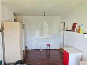 Garsoniera de vanzare, 21 mp, Calea Buziasului, Timisoara - imagine 2