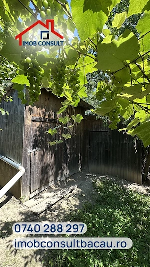 Casă de vânzare cu teren de 1.000 mp | Grigoreni, comuna Scorteni | CE1803 - imagine 6
