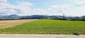 Teren de vânzare 8906 mp, Dofteana