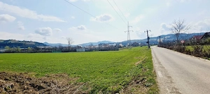 Teren de vânzare 8906 mp, Dofteana - imagine 4