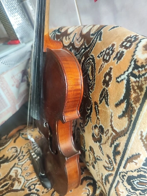 vioară de vânzare 