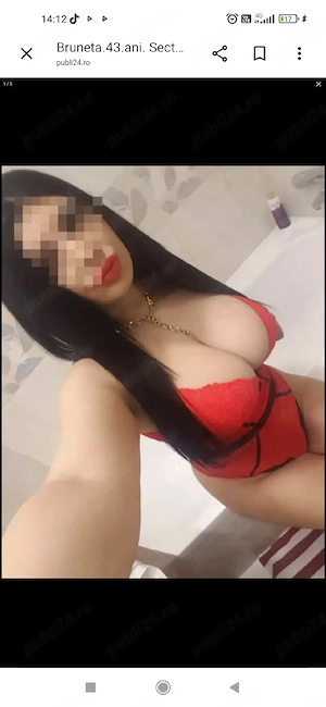 servici totale fac deplasari la hotel si am si locatie 