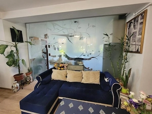 Dristor-Baba Novac-2 camere 86 MP - imagine 6
