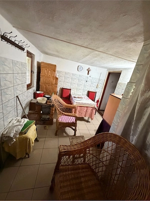 Casa vacanta Judetul Buzau 2718mp - imagine 3