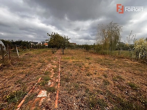 Casa cu teren de 1438 mp de vanzare - Recas - imagine 10