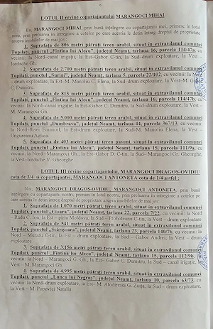 Vând teren com Tupilati, jud Neamt