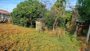 Casa bătrânească Padina - Buzău - imagine 7