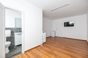 Birou 20 mp, cu baie proprie, renovat, et 2, Mehala- G Alexandrescu | Comision 0 - imagine 10