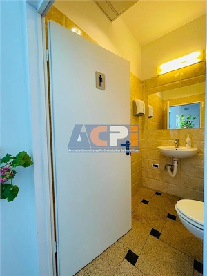 INCHIRIERE Spatiu birouri 260 mp Zona Pta VICTORIEI BUZESTI ALEX I CUZA COMISION 0 - imagine 14