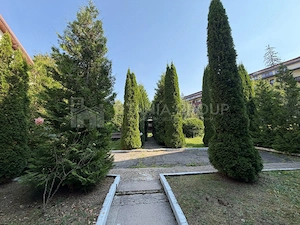 Hotel 4 stele, complet echipat, 30 camere, 6.000 mp teren – Poiana Brașov - imagine 18