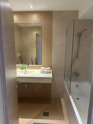 vitan barzesti rin grand hotel studio - imagine 3