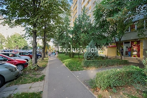 Spațiu Comercial Stradal Open Space | Trafic Intens | Vizibilitate Mar - imagine 9
