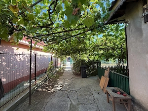 Casă parter de vânzare în Pecineaga - imagine 9