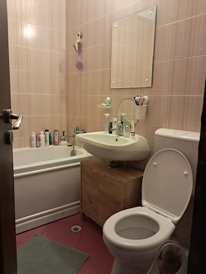 Penthouse Anghel Saligny - imagine 3
