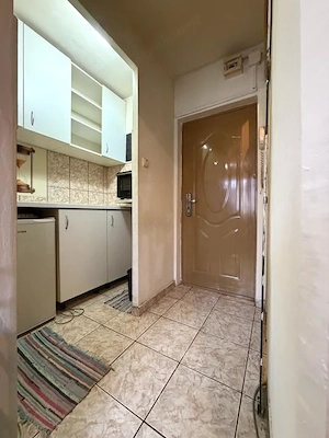 Apartament cu o camera, 17 mp utili, etaj 4, mobilat- Buziasului - imagine 7