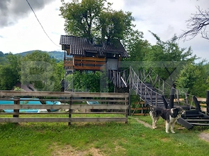 Proprietate cu piscină/ciubăr, zona Pietrari - imagine 3