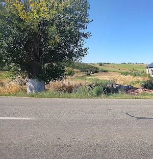 Teren intravilan Predești 