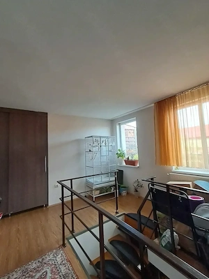 Penthouse Anghel Saligny - imagine 7