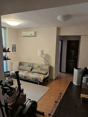 Penthouse Anghel Saligny - imagine 8