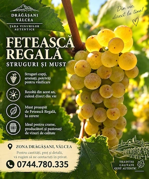 Feteasca regala   struguri si must