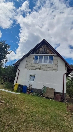 Vind casă cu etaj la Borsa de Cluj - imagine 3