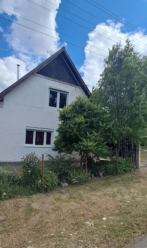 Vind casă cu etaj la Borsa de Cluj - imagine 2