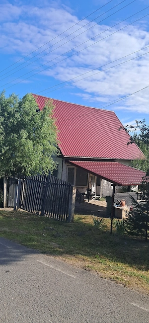 Vind casă cu etaj la Borsa de Cluj - imagine 4