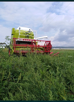 Vând combina claas