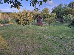 Casa de vanzare individuala in localitatea Spini Hunedoara, DN7 - imagine 5