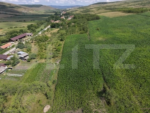 Casa de vabzare, 87 mp, 6.400 mp teren, zona Lujerdiu - imagine 3