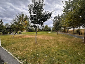 Apartament de închiriat  Bragadiru, Str. Iernii   44 mp, loc de parcare inclus - imagine 8