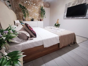 2 camere - zona Albert - decomandat de lux - imagine 7