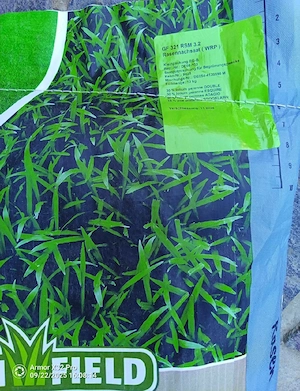 Samanta Gazon Premium
