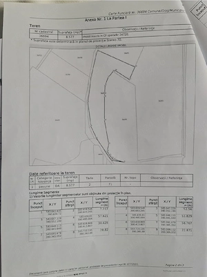 Teren viticol intravilan extravilan 3,5 ha - imagine 3