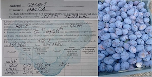 Vand prune Stanley si Eduard ca producator autentic