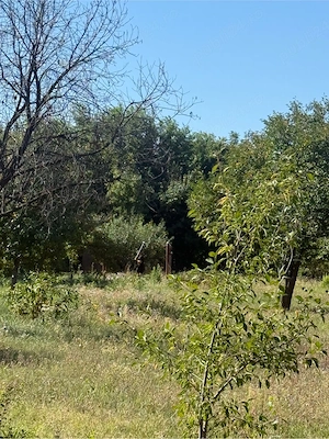 casa#teren#vanzare - imagine 5